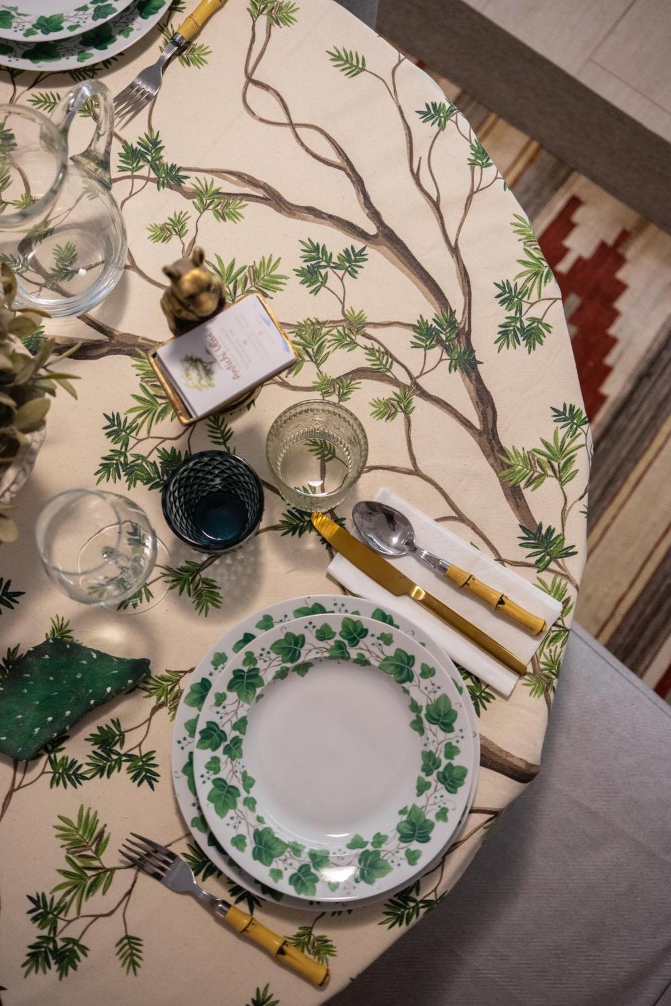 Guest House Antichi Ulivi 몬델로 외부 사진