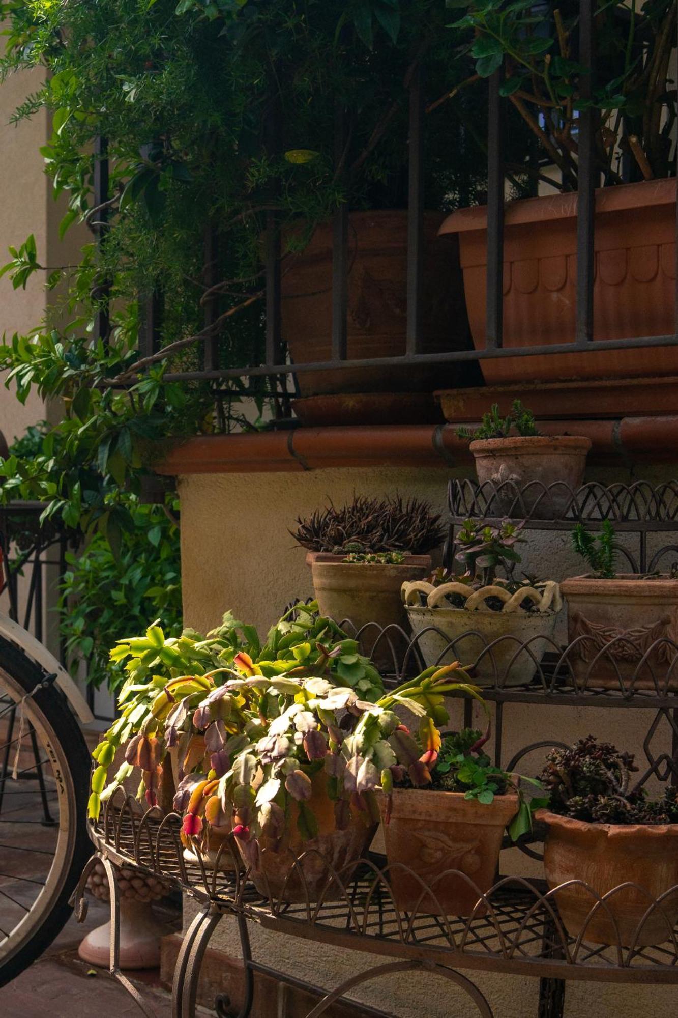 Guest House Antichi Ulivi 몬델로 외부 사진